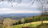 Tocht Mountainbike Montsalvy - Tour de Montsalvy - Photo 1