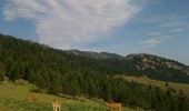 Excursión Bici de montaña Prades - Randonnée Prades - Chalet Des Cortalets - Massif du Canigou - Photo 1