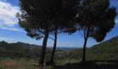 Tocht Mountainbike Saint-Rémy-de-Provence - Les Baux de Provence - Photo 3