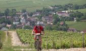 Excursión Bici de montaña Les Aix-d'Angillon - Menetou - Sancerroise - 1ère édition Juillet 2010 - Photo 4