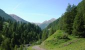 Tocht Mountainbike Les Orres - Espace VTT FFC de l'Embrunais Savinois - Circuit n° 7 - Boucle de Grand Vallon  - Photo 4