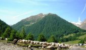 Percorso Mountainbike Les Orres - Espace VTT FFC de l'Embrunais Savinois - Circuit n° 7 - Boucle de Grand Vallon  - Photo 3