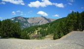 Percorso Mountainbike Les Orres - Espace VTT FFC de l'Embrunais Savinois - Circuit n° 7 - Boucle de Grand Vallon  - Photo 1