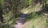 Tocht Mountainbike Les Orres - Espace VTT FFC de l'Embrunais Savinois - Circuit n° 13 - Boucle du Méale  - Photo 3