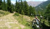 Tour Mountainbike Les Orres - Les Orres Boucle n° 8 - Photo 2