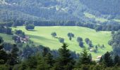 Trail Walking Linthal - Petit Balon depuis le Hilsen - Photo 2