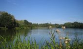 Excursión Bici de montaña Argentré - La vallée de la Jouanne - Argentré - Photo 6