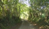 Excursión Bici de montaña Argentré - La vallée de la Jouanne - Argentré - Photo 2