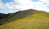 Trail Walking Laveissière - Le Puy Griou de Super Lioran - Photo 5