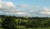 Tocht Mountainbike Perreux - VTT Perreux - Sur la trace des Pieds Ailés... - Photo 6