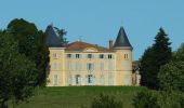 Tour Mountainbike Perreux - VTT Perreux - Sur la trace des Pieds Ailés... - Photo 2