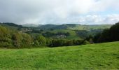 Trail Mountain bike Amplepuis - VTT Amplepuis - Rando d'automne - Photo 2