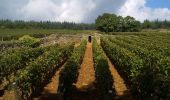 Tocht Stappen Givry - Autour de Givry - Photo 1