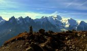 Tocht Stappen Chamonix-Mont-Blanc - Col du Belvédère - Chamonix la Flégère - Photo 4