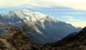 Tocht Stappen Chamonix-Mont-Blanc - Les Lacs Noirs - Chamonix la Flégère - Photo 1