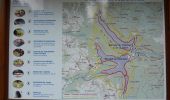 Tour Wandern Renaison - Barrages de Renaison, Lavoine, Combegrand, La Tâche - Photo 1