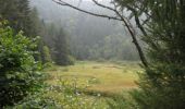Trail Walking Lapoutroie - Traversée des Vosges - le Devin - Le Hohneck  - Photo 2