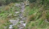 Trail Walking Lapoutroie - Traversée des Vosges - le Devin - Le Hohneck  - Photo 1