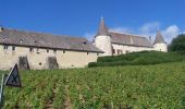 Randonnée Vélo Vaux-en-Beaujolais - Circuit 1 Ascotour 2010 - Vaux en Beaujolais - Photo 2