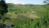 Tour Fahrrad Vaux-en-Beaujolais - Les Pierres Dorées en cyclo - Vaux en Beaujolais - Photo 2