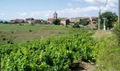 Percorso Bicicletta Vaux-en-Beaujolais - Les Pierres Dorées en cyclo - Vaux en Beaujolais - Photo 1