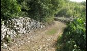 Trail Walking Lalbenque - Balade coup de coeur du gîte de Poudally - Photo 4