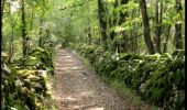 Trail Walking Lalbenque - Balade coup de coeur du gîte de Poudally - Photo 3