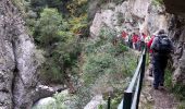 Tour Wandern Caudiès-de-Fenouillèdes - Gorges de St Jaumes - Caudiés de Fenouillèdes - Photo 1