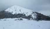 Excursión Senderismo Orcines - Le col du Pariou - Orcines - Photo 1