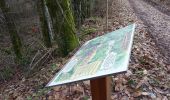 Trail Walking Cremeaux - La Croix des Seignolles, Il était un chemin... Saint Just en Chevalet - Photo 2