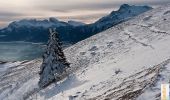 Trail Snowshoes La Motte-d'Aveillans - Le Sénépy depuis les Signaraux - Photo 1