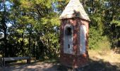 Tour Wandern Digne-les-Bains - Randonnée Chapelle St Pancrace - Photo 9