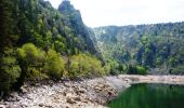 Excursión Senderismo La Bresse - Le Hohneck - Le Valtin - Tour des Lacs des Vosges - Étape 3 - Photo 1