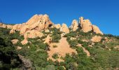 Trail Walking Saint-Raphaël - Chapelle de la Sainte Baume et tour du Pic du Cap Roux - Photo 6