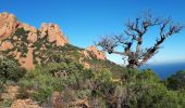 Tocht Stappen Saint-Raphaël - Chapelle de la Sainte Baume et tour du Pic du Cap Roux - Photo 4