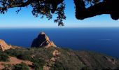 Trail Walking Saint-Raphaël - Chapelle de la Sainte Baume et tour du Pic du Cap Roux - Photo 2