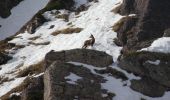 Randonnée Raquettes à neige Borce - Pic de Gabedaille en boucle - Photo 6