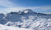 Tour Schneeschuhwandern Borce - Pic de Gabedaille en boucle - Photo 2