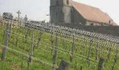 Trail Walking Beaucourt - Circuit de l'Evêque Saint Dizier - Beaucourt - Photo 2