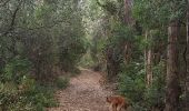Trail Walking Unknown - Agios spirigos Corfou - Photo 3