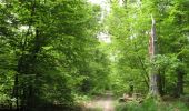 Randonnée Marche Chartrettes - Boucle en forêt de Fontainebleau - Chartrettes - Photo 3