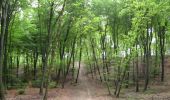 Randonnée Course à pied Chartrettes - Boucle en forêt de Fontainebleau - Chartrettes - Photo 4