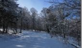 Trail Snowshoes Saint-Maurice-sur-Moselle - Etang du Petit Haut - Rivière La Savoureuse - Photo 3