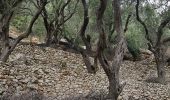 Tour Wandern Παλαιοκαστρίτσα - Autour de Lakones - Photo 3