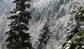 Randonnée Raquettes à neige Villé - Crêtes des Vosges en hiver - De Villé à Sainte Marie aux Mines - Photo 2