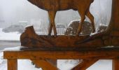 Tocht Sneeuwschoenen Wisembach - Crêtes des Vosges en hiver - De Sainte Marie aux Mines au col du Calvaire - Photo 2
