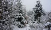 Randonnée Raquettes à neige Wisembach - Crêtes des Vosges en hiver - De Sainte Marie aux Mines au col du Calvaire - Photo 1