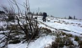 Excursión Raquetas de nieve Orbey - Crêtes des Vosges en hiver - Du Col du Calvaire à Schallern - Photo 2