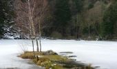 Randonnée Raquettes à neige Oderen - Crêtes des Vosges en hiver - De Steinlebach à Rouge Gazon - Photo 1