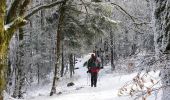 Excursión Raquetas de nieve Saint-Maurice-sur-Moselle - Crêtes des Vosges en hiver - De Rouge Gazon à Thann - Photo 1